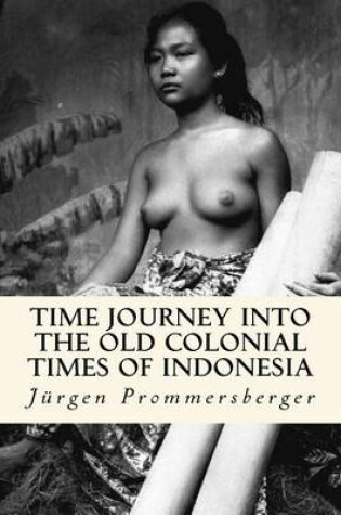 Cover of Time Journey into the old Colonial Times of Indonesia