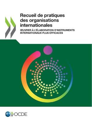 Book cover for Recueil de Pratiques Des Organisations Internationales Oeuvrer A l'Elaboration d'Instruments Internationaux Plus Efficaces