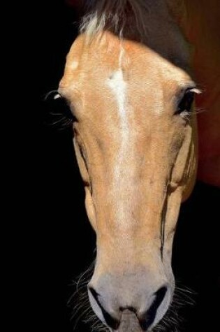 Cover of Sweet Face of a Tan Colored Horse Up Close Journal