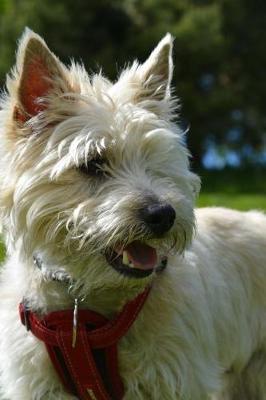 Book cover for Fluffy Little White Cairn Terrier Journal