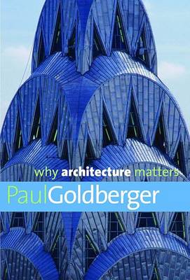 Book cover for Why Architecture Matters