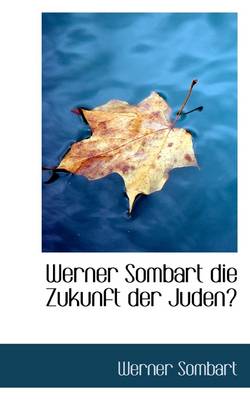 Book cover for Werner Sombart Die Zukunft Der Juden?