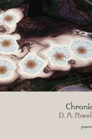 Cover of Chronic