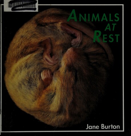 Book cover for Animals at Rest, Burton 2-4l