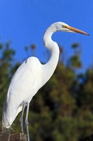 Cover of Great White Heron Journal