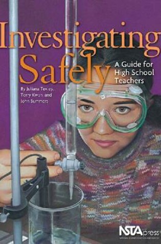 Cover of Investigating Safely