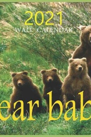 Cover of Bear baby
