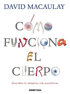Cover of Cómo Funciona El Cuerpo