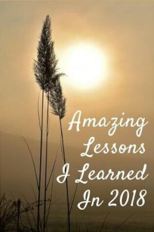 Cover of Amazing Lessons I Learned in 2018