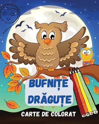 Book cover for Bufnițe drăguțe carte de colorat