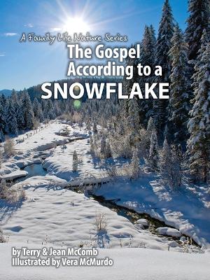 Cover of The Gospel According to a Snowflake