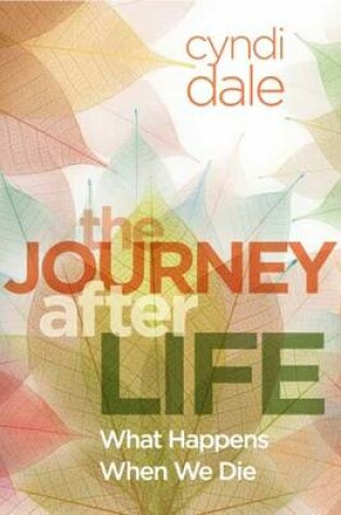 Cover of Journey After Life