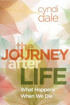 Book cover for Journey After Life