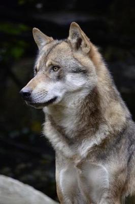 Book cover for Portrait of a Beautiful Wolf Journal - No Petting, Though.