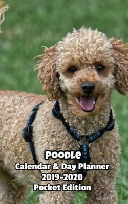 Book cover for Poodle Calendar & Day Planner 2019-2020 Pocket Edition