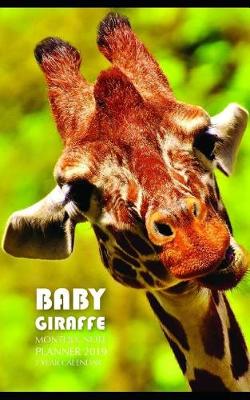 Book cover for Baby Giraffe Monthly Note Planner 2019 1 Year Calendar