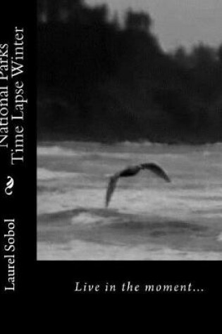 Cover of National Parks Time Lapse Winter