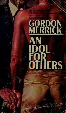 Book cover for Idol for Others