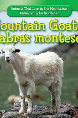 Cover of Mountain Goats / Cabra Montés