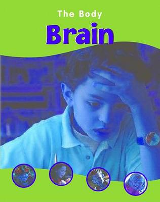 Book cover for Brain