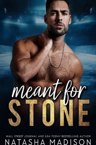 Cover of Meant for Stone