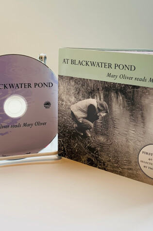 Cover of At Blackwater Pond