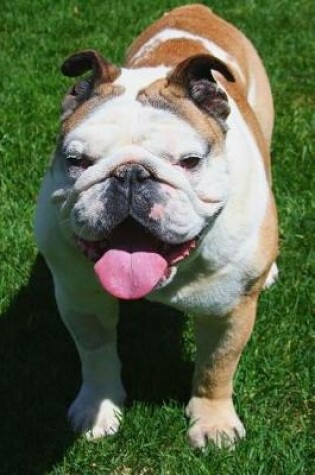 Cover of English Bulldog Standing in the Grass Journal