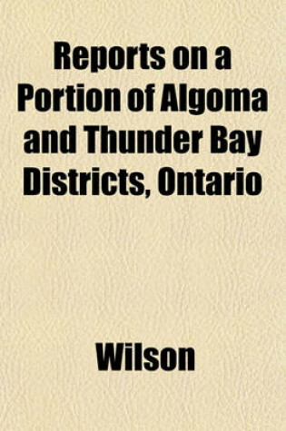 Cover of Reports on a Portion of Algoma and Thunder Bay Districts, Ontario