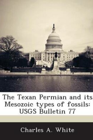 Cover of The Texan Permian and Its Mesozoic Types of Fossils