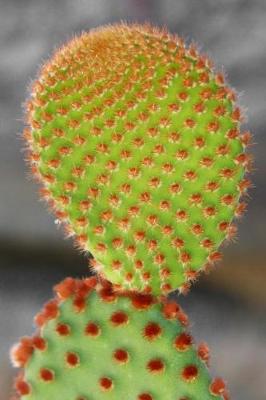 Book cover for Nopales Cactus Paddles Plant Journal