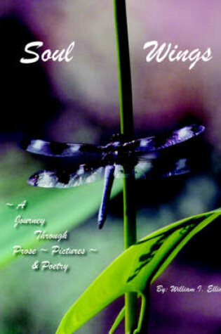 Cover of Soul Wings