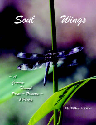 Book cover for Soul Wings