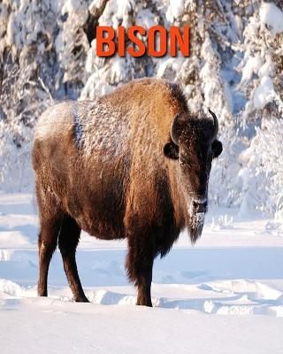 Book cover for Bison