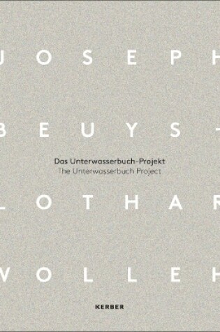 Cover of Joseph Beuys and Lothar Wolleh