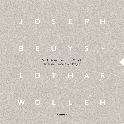 Book cover for Joseph Beuys and Lothar Wolleh