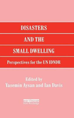 Book cover for Disasters and the Small Dwelling: Perspectives for the Un Idndr