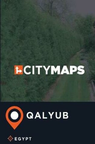 Cover of City Maps Qalyub Egypt