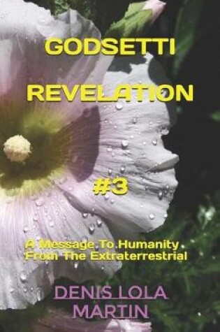 Cover of Godsetti Revelation #3