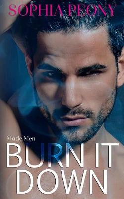 Book cover for Burn It Down