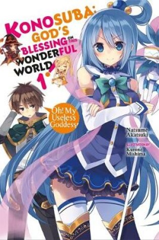 Cover of Konosuba: God's Blessing on This Wonderful World!, Vol. 1 (light novel)