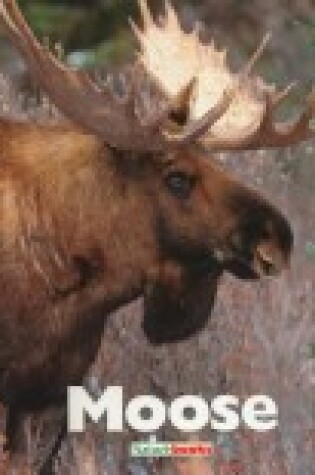 Cover of Moose