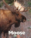 Book cover for Moose