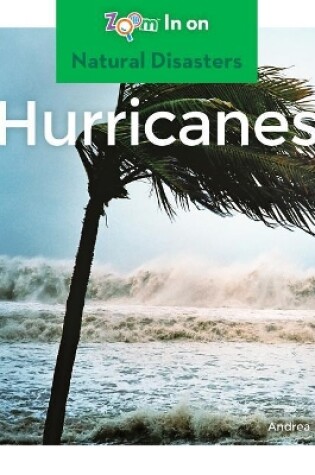 Cover of Hurricanes