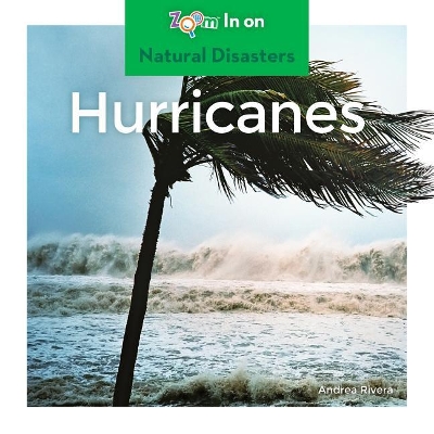 Book cover for Hurricanes