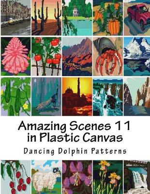 Book cover for Amazing Scenes 11