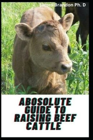 Cover of Abosolute Guide To Raising Beef Cattle