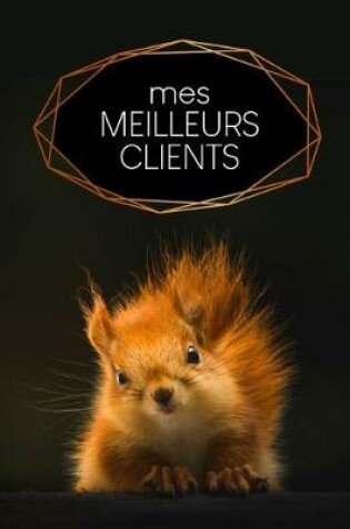 Cover of Mes meilleurs clients