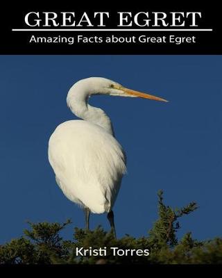 Book cover for Amazing Facts about Great Egret