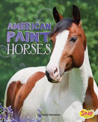 Book cover for American Paint Horses (Horse Breeds)