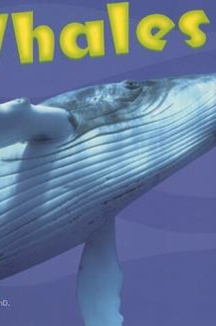 Cover of Whales